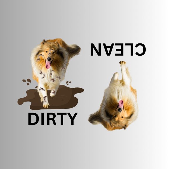 COLLIE Clean Dirty Dishwasher Flexible Magnet - Picture 1 of 1